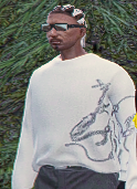 Leustean